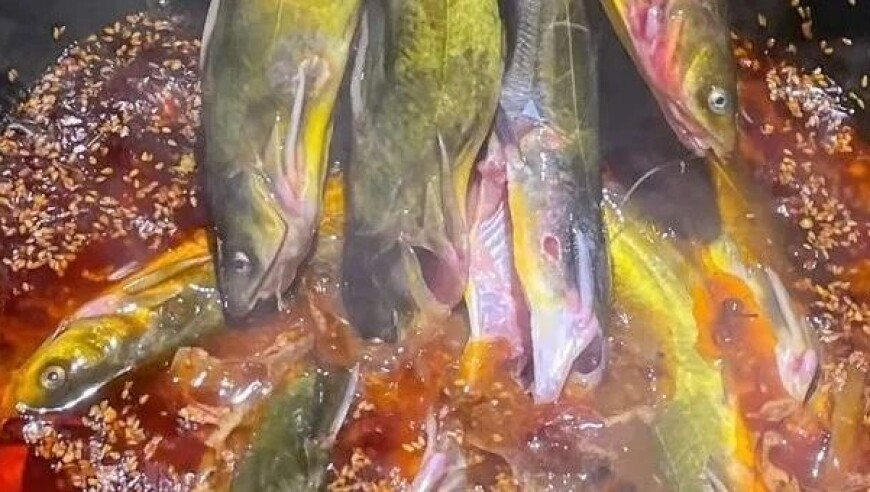 9944CC旺角免费资料,一名被困超65小时的孕妇获救,机构预测与落实方法揭秘_经典版V9.18